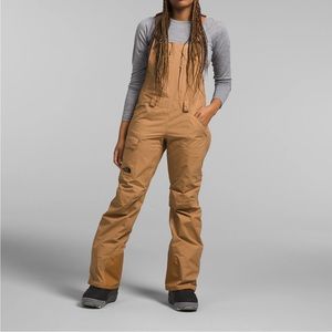 The North Face Freedom Bib snow pants